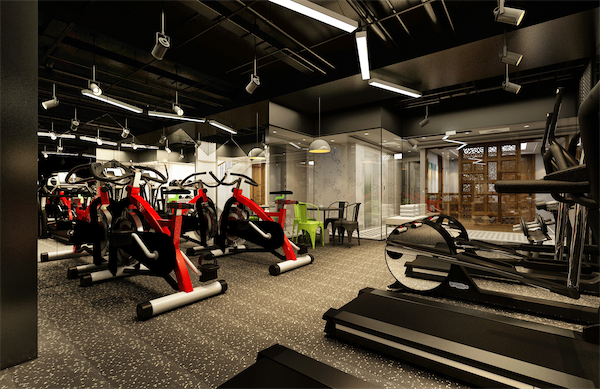 Gym and Fitness Center